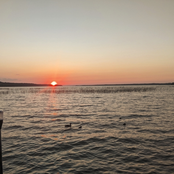 Meet your Posher, Kim - Picture 1 of 1